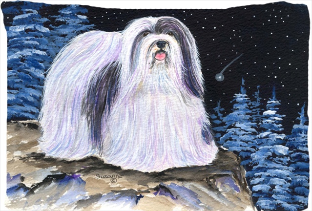 Starry Night Havanese Moisture Wicking Fabric Standard Pillowcase