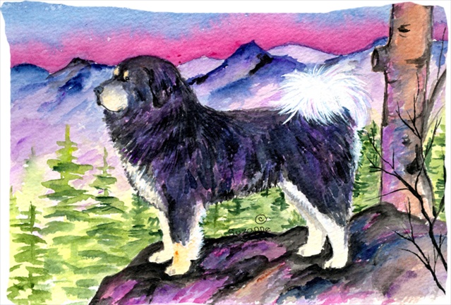 20.5 x 30 in. Tibetan Mastiff Moisture Wicking Fabric Standard Pillowcase
