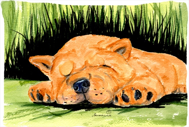 20.5 x 30 in. Chow Chow Moisture Wicking Fabric Standard Pillowcase
