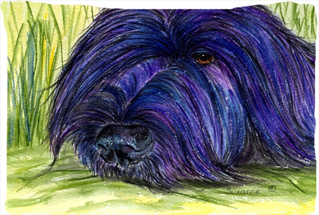20.5 x 30 in. Briard Moisture Wicking Fabric Standard Pillowcase