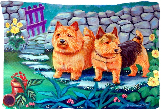 Norwich Terrier Moisture Wicking Fabric Standard Pillowcase