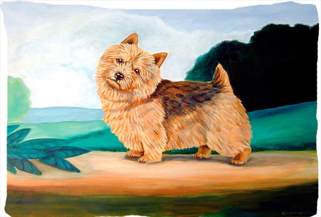 Norwich Terrier Moisture Wicking Fabric Standard Pillowcase