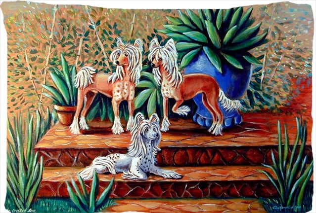 20.5 x 30 in. Chinese Crested Moisture Wicking Fabric Standard Pillowcase