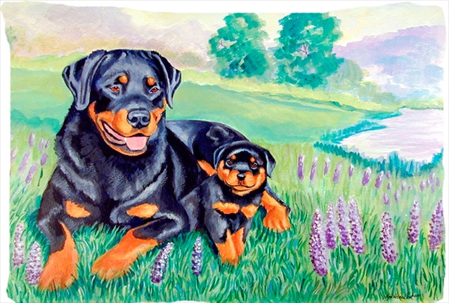 20.5 x 30 in. Rottweiler Moisture Wicking Fabric Standard Pillowcase