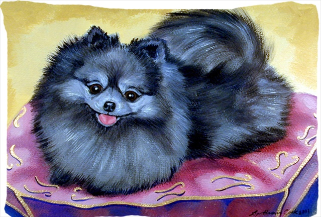 20.5 x 30 in. Pomeranian Moisture Wicking Fabric Standard Pillowcase