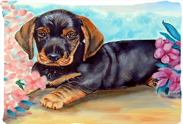 20.5 x 30 in. Dachshund Moisture Wicking Fabric Standard Pillowcase