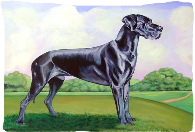 20.5 x 30 in. Great Dane Moisture Wicking Fabric Standard Pillowcase