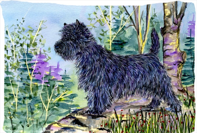 20.5 x 30 in. Cairn Terrier Moisture Wicking Fabric Standard Pillowcase