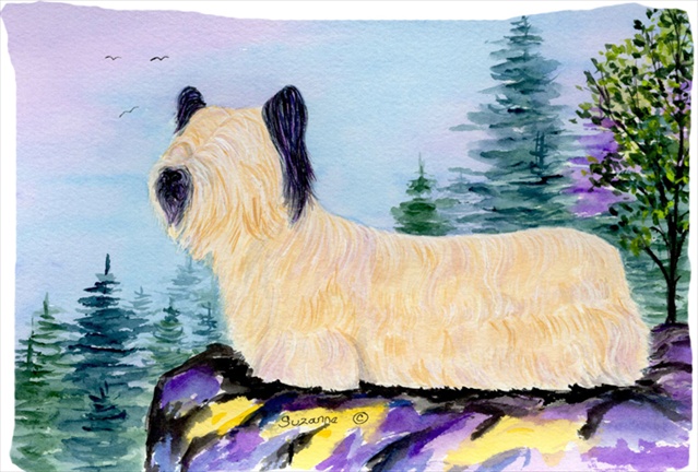 20.5 x 30 in. Skye Terrier Moisture Wicking Fabric Standard Pillowcase