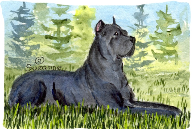 Cane Corso Moisture Wicking Fabric Standard Pillowcase 20.5 x 30 in.