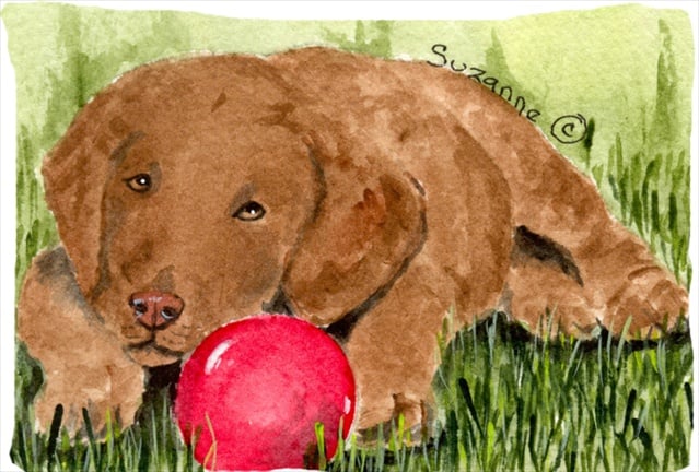 Curly Coated Retriever Moisture Wicking Fabric Standard Pillowcase