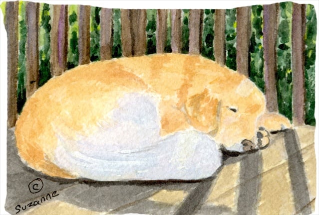 Golden Retriever Moisture Wicking Fabric Standard Pillowcase