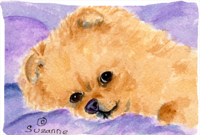Pomeranian Moisture Wicking Fabric Standard Pillowcase 20.5 x 30 in.