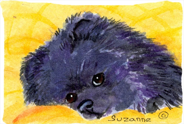 20.5 x 30 in. Pomeranian Moisture Wicking Fabric Standard Pillowcase