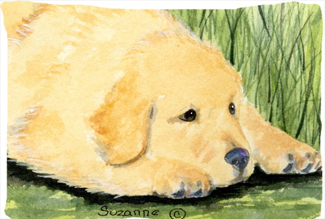 Golden Retriever Moisture Wicking Fabric Standard Pillowcase