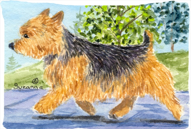 Norwich Terrier Moisture Wicking Fabric Standard Pillowcase