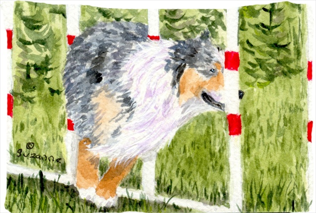 20.5 x 30 in. Australian Shepherd Moisture Wicking Fabric Standard Pillowcase