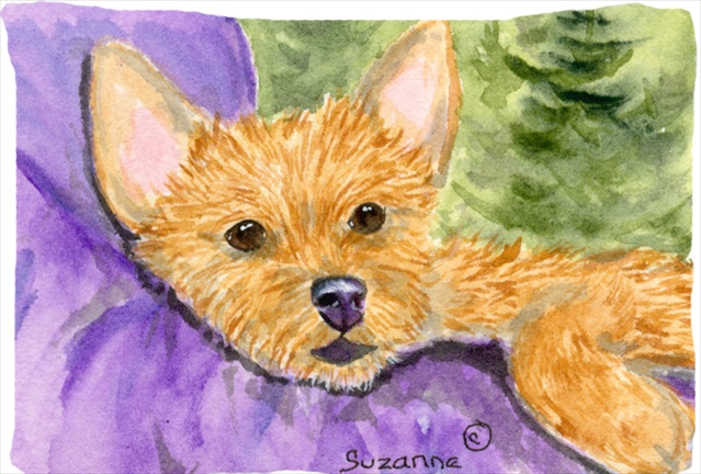 Norwich Terrier Moisture Wicking Fabric Standard Pillowcase 20.5 x 30 in.