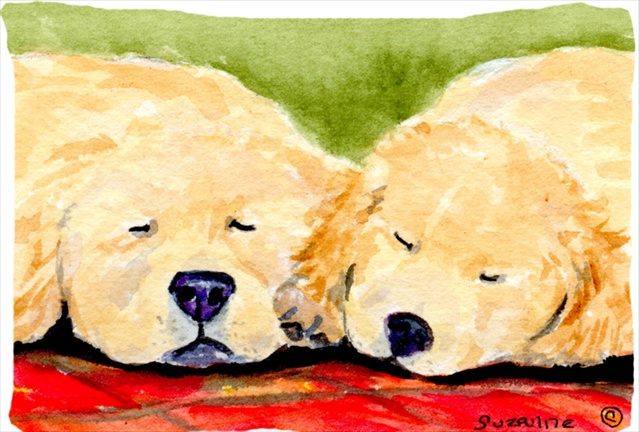 20.5 x 30 in. Golden Retriever Moisture Wicking Fabric Standard Pillowcase