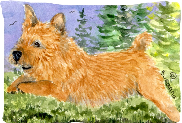 Norwich Terrier Moisture Wicking Fabric Standard Pillowcase 20.5 x 30 in.