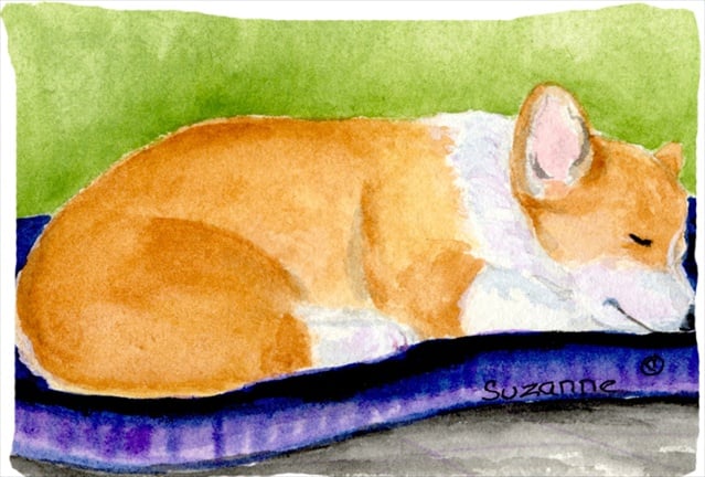 Corgi Moisture Wicking Fabric Standard Pillowcase - White - 20.5 x 30 in.