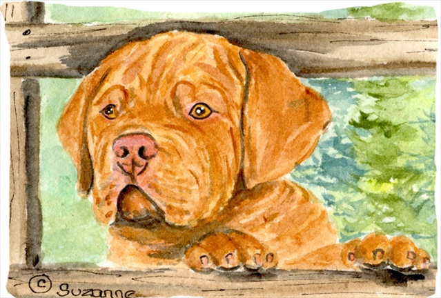 20.5 x 30 in. Dogue De Bordeaux Moisture Wicking Fabric Standard Pillowcase