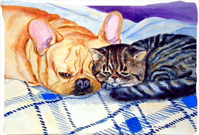 Cat Moisture Wicking Fabric Standard Pillowcase