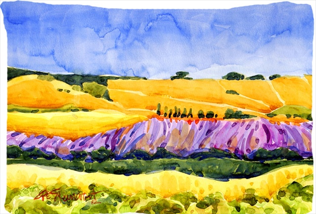20.5 x 30 in. Landscape Moisture Wicking Fabric Standard Pillowcase