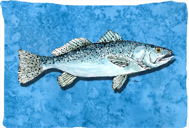 20.5 x 30 in. Fish - Trout Moisture Wicking Fabric Standard Pillowcase