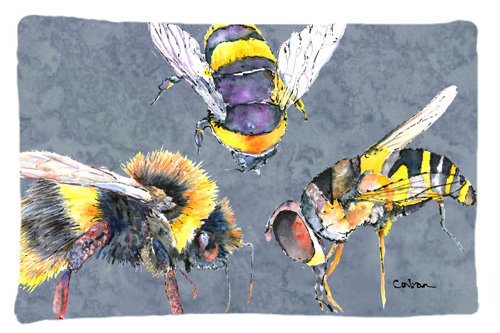 8879PILLOWCASE 20.5 W x 30 in. Bee Bees Times Three Moisture Wicking Fabric Standard Pillowcase