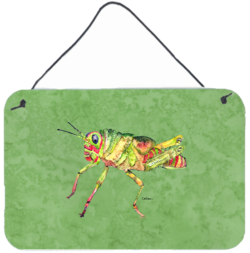 Grasshopper On Avacado Aluminium Metal Wall Or Door Hanging Prints