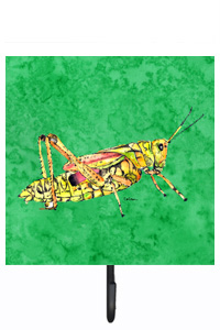Grasshopper on Green Leash Or Key Holder