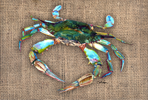 Crab Fabric Placemat
