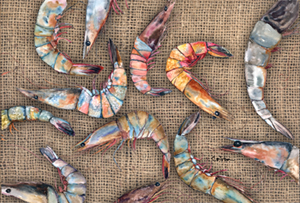 Shrimp Fabric Placemat