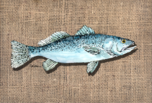 Fish Speckled Trout Fabric Placemat