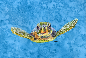 Turtle Coming At You Fabric Placemat