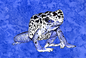 Frog Fabric Placemat