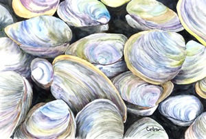 Clam Quahog Fabric Placemat