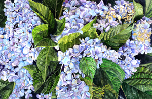 Carolines Treasures 8730PLMT Hydrangea Fabric Placemat