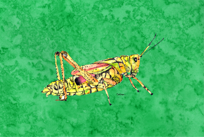 Grasshopper On Green Fabric Placemat