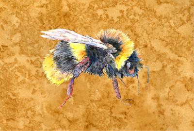 Bee On Gold Fabric Placemat