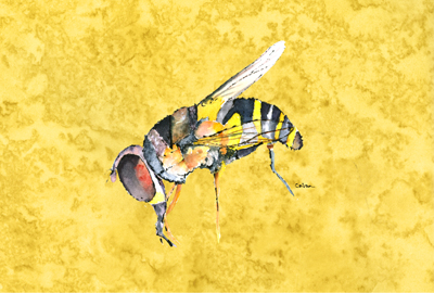 Bee On Yellow Fabric Placemat