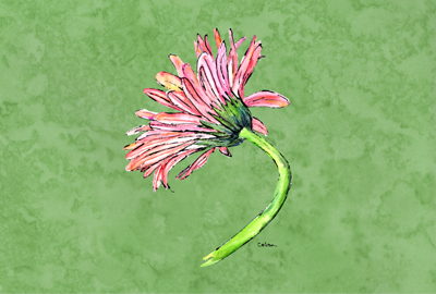 Gerber Daisy Pink Fabric Placemat