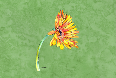 Gerber Daisy Orange Fabric Placemat