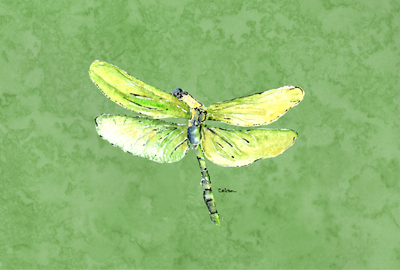 Dragonfly On Avacado Fabric Placemat