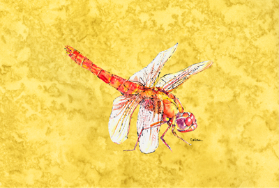 Dragonfly On Yellow Fabric Placemat