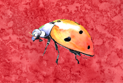 Lady Bug On Red Fabric Placemat
