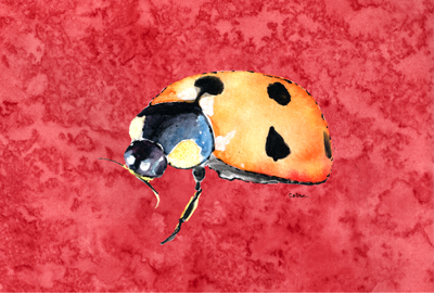 Lady Bug On Red Fabric Placemat