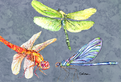 Dragonfly Times Three Fabric Placemat
