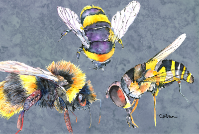Bee Bees Times Three Fabric Placemat